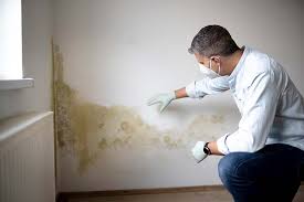 Best Mold Remediation for Vacation Homes  in Tremont, IL